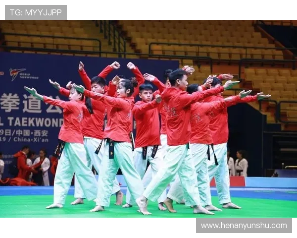 跆拳道世界纪录全解析从速度力量到极限技艺的巅峰对决